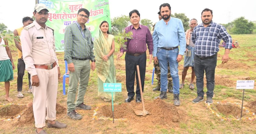 वन महोत्सव के अंतर्गत एनटीपीसी लारा व्यापक वृक्षा रोपण कार्य