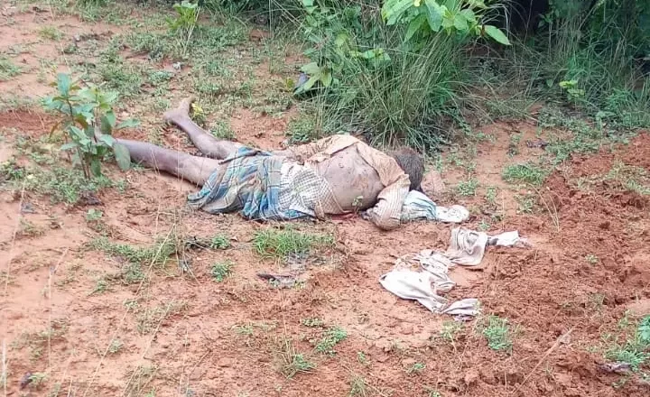 रायगढ़ : हाथी के हमले से ग्रामीण की मौत, सुबह की घटना ! वन विभाग और पुलिस मौके पर..