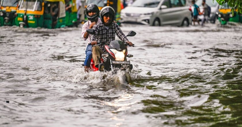 छत्तीसगढ़ पर दो दिन भारी, मूसलाधार बारिश का ऑरेंज अलर्ट, कोरबा में 20 मवेशी मरे