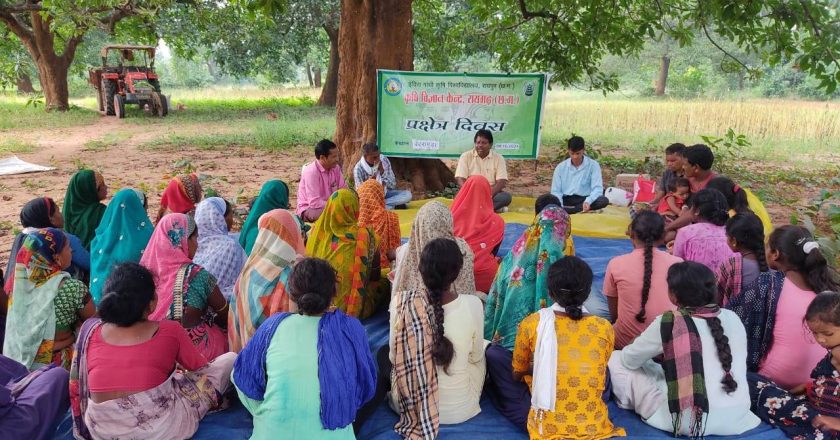 तिल फसल के उन्नत उत्पादन तकनीक के बारे में किसानों को दी गई जानकारी