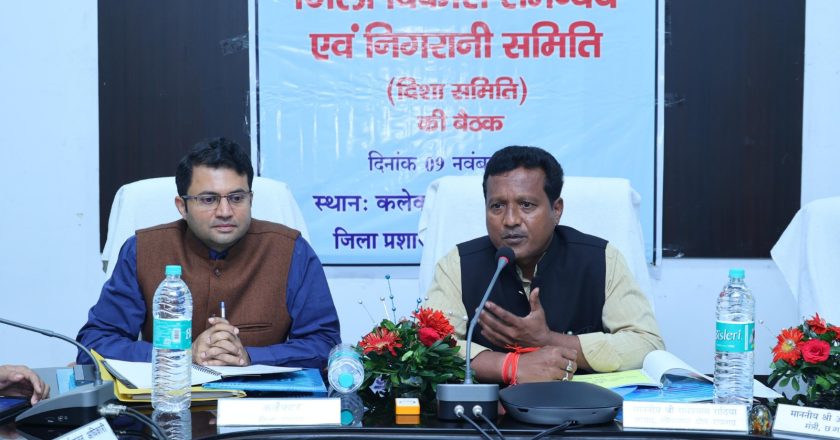 समन्वय के साथ करें योजनाओं का जमीनी स्तर पर प्रभावी क्रियान्वयन-सांसद राधेश्याम राठिया