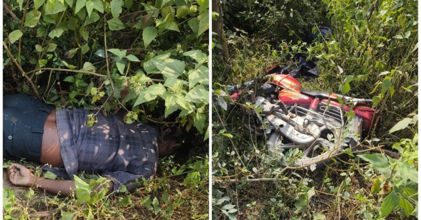 सड़क किनारे झाडियों में शख्स की लाश मिलने से मचा हड़कंप, पुलिस मामले की जांच में जुटी, ऐसे सुलझेगी गुत्थी