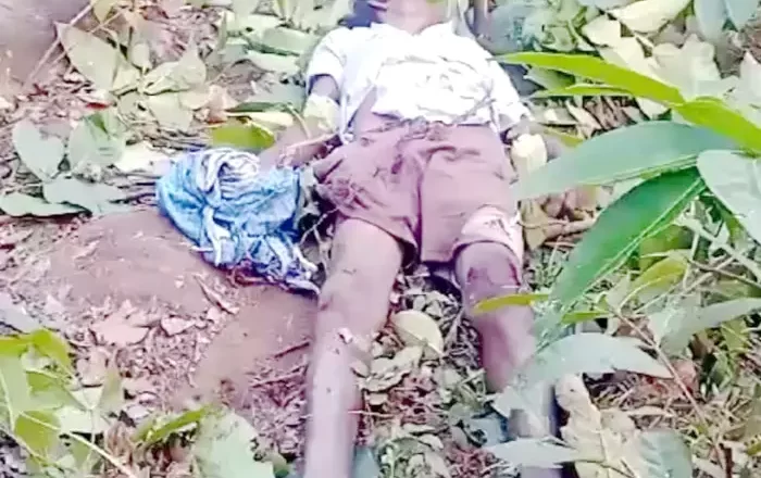 फसल रखवाली के दौरान हाथी के हमले से ग्रामीण की मौत, धरमजयगढ़ वन मंडल क्षेत्र की घटना, कुल 130 हाथी मौजूद