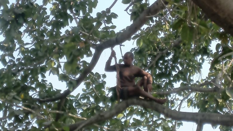 पत्नी के गम में पति आत्महत्या करने पेड़ पर चढ़ा : रायगढ़ डायल 112 की टीम ने बस पर चढ़कर पेड़ से नीचे उतारा, पारिवारिक विवाद के कारण पत्नी घर छोड़कर कहीं चली गई