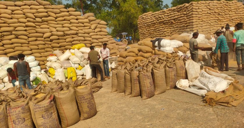 राज्य में 50 लाख मीट्रिक टन धान की हुई खरीदी