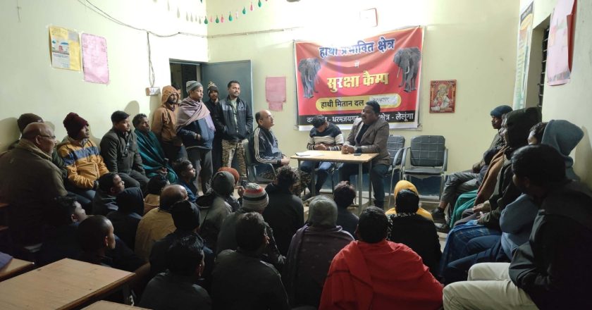 लैलूंगा क्षेत्र में हाथियों की चहल-कदमी पर वन विभाग अलर्ट