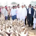 प्रदेश के धान खरीदी केन्द्रों में कांग्रेस का प्रदर्शन, भूपेश-बैज समेत दिग्गज नेताओं ने सोसायटियों का लिया जायजा