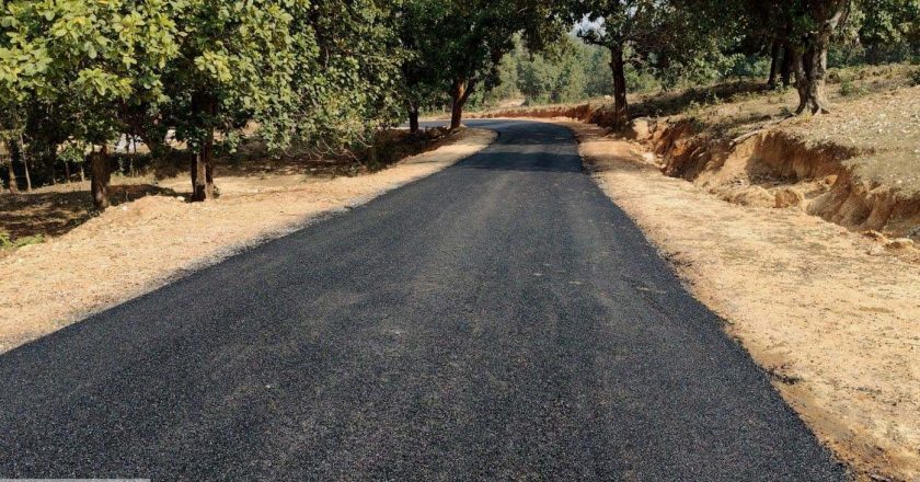 पीएम जनमन योजना से पहाड़ी अंचलों में बिरहोर बसाहटों तक पहुंचने लगी है पक्की सड़क