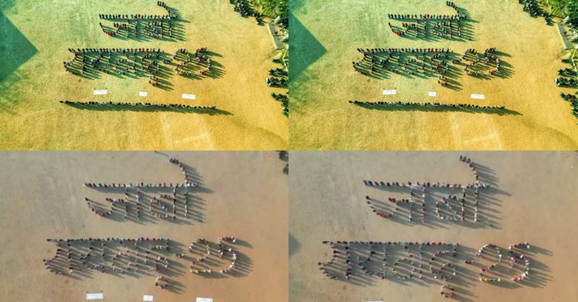 600 से अधिक निगम कर्मचारियों ने मानव श्रृंखला बनाकर दिया मतदान करने का संदेश