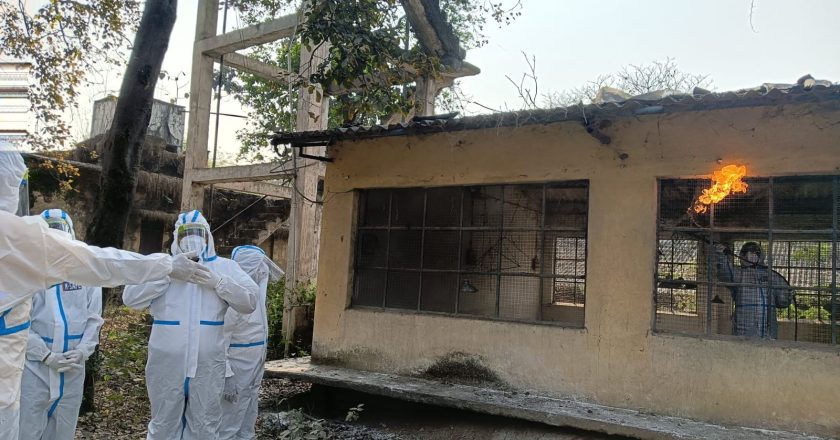 चक्रधर नगर पोल्ट्री फार्म को डिसइंफेक्ट कर सैनिटाइजेशन सर्टिफिकेट किया गया जारी