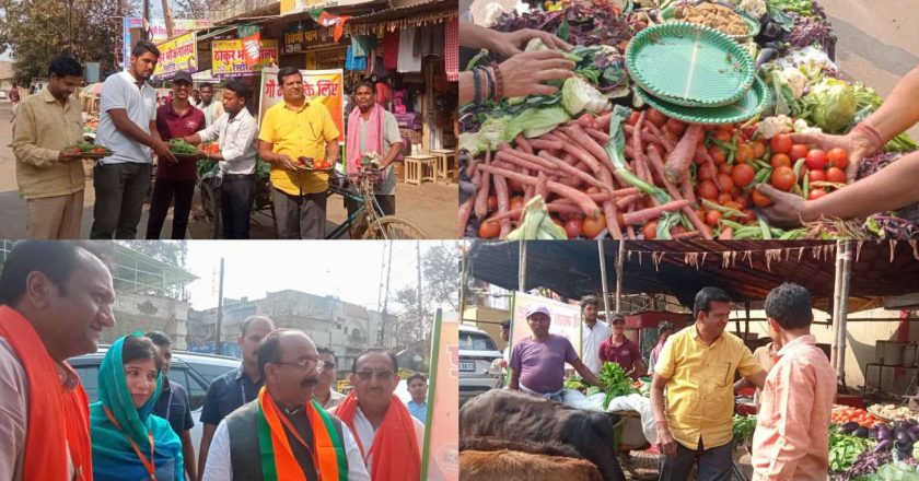 गौभंडारा लगवाकर कमल गर्ग ने गौ माताओं से लिया आशीर्वाद