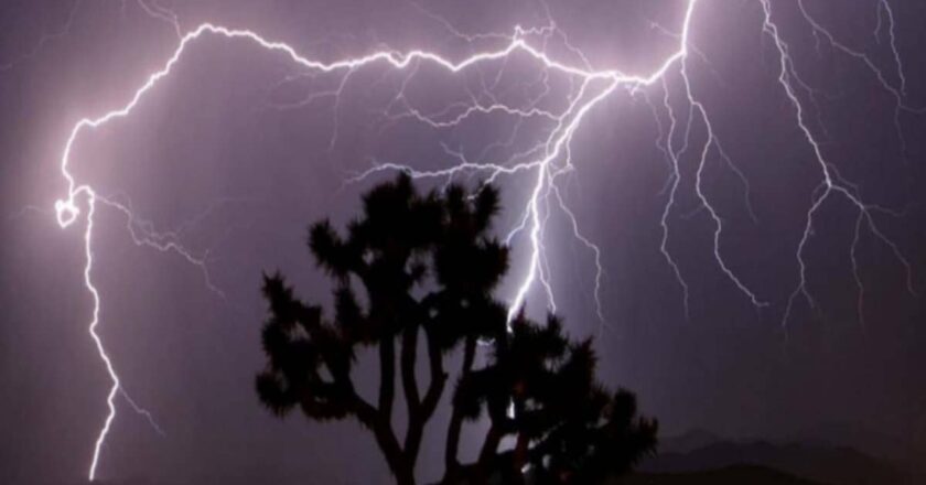 आसमानी बिजली गिरने से पिता-पुत्र सहित 3 की मौत; छत्तीसगढ़ के कई जिलों में येलो-रेड अलर्ट
