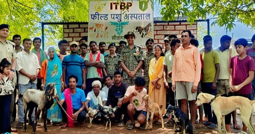 छत्तीसगढ़ के इस नक्सल प्रभावित गांव में खुला पशुओं का अस्पताल,12000 जानवरों का होगा इलाज