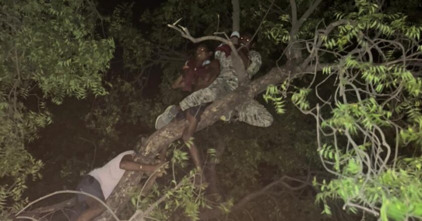 पुसौर में डायल 112 के आरक्षक की बहादुरी : आत्महत्या के लिए पेड़ पर चढ़े युवक को जान जोखिम में डालकर बचाया