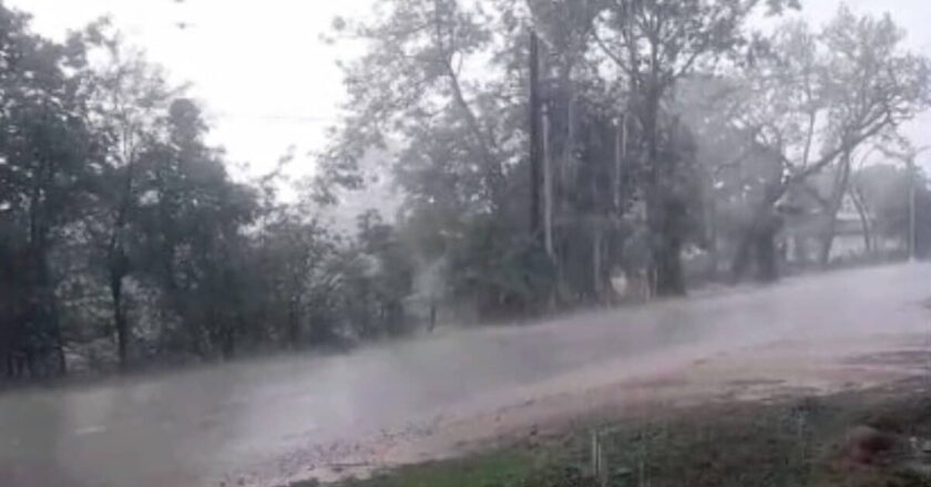 छत्तीसगढ़ में मॉनसून ने पकड़ी तेज रफ्तार, IMD ने 17 जिलों के लिए जारी किया भारी बारिश का येलो अलर्ट