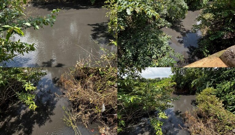 बिंजकोट-दर्रामुड़ा में सारदा एनर्जी एंड मिनरल्स लिमिटेड बना ग्रामीणों के जीवन के लिए खतरा, मांड नदी में फैला रहा ज़हर… Watch Video