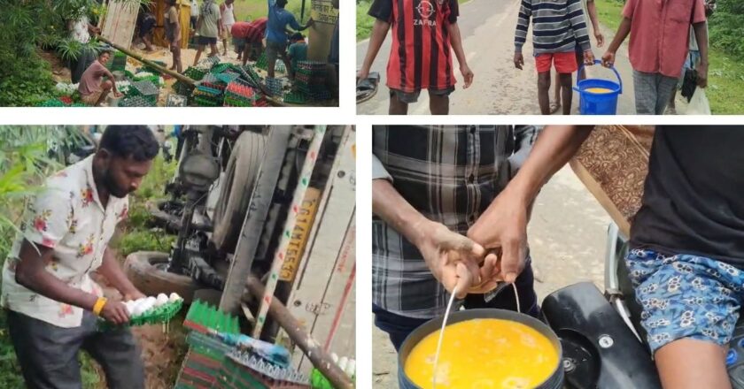 जैसे कोई खजाना मिल गया; छत्तीसगढ़ में मची अंडे लूटने की होड़, वीडियो देख हंस पड़ेंगे