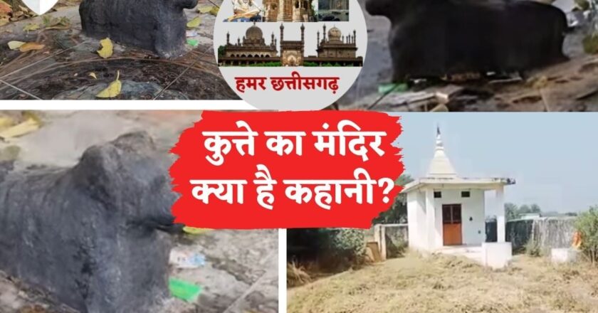 हमर छत्तीसगढ़: क्या आपने देखा है कुत्ते का मंदिर? लोगों की है गहरी आस्था,दिलचस्प है कहानी