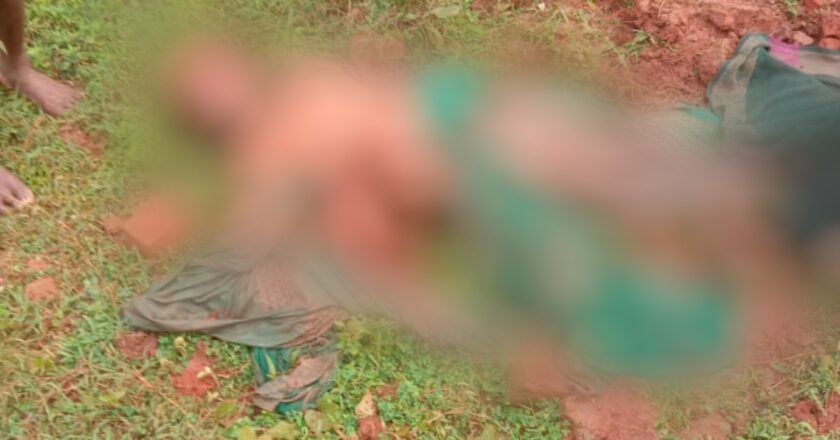 हाथी ने महिला को रौंदकर उतारा मौत के घाट – धरमजयगढ़ क्षेत्र में फिर बढ़ा मानव-हाथी संघर्ष!