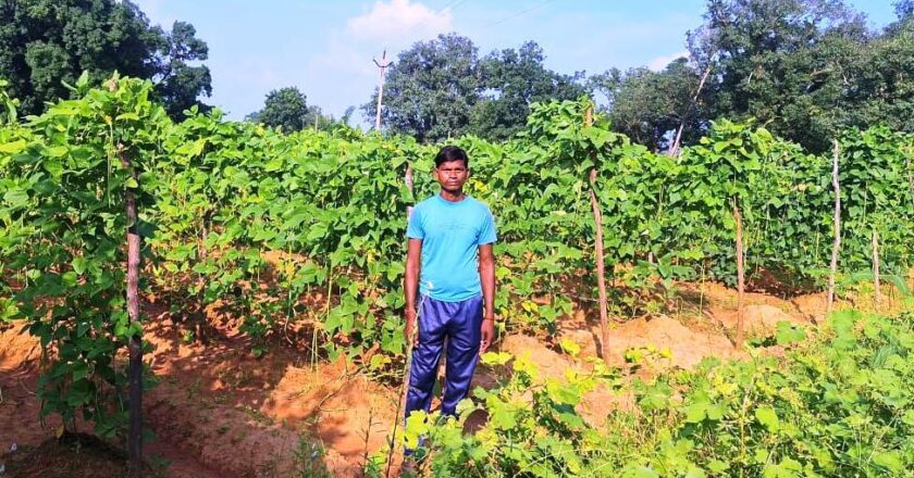 बरबट्टी की खेती से आत्मनिर्भरता की ओर बढ़ रहे केराबहार के किसान श्री खुलेश्वर पैंकरा