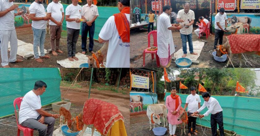 गोपाष्टमी पर्व पर खरसिया में उमड़ा आस्था का सैलाब, गौसेवक राकेश केशरवानी बने श्रद्धा के केंद्र