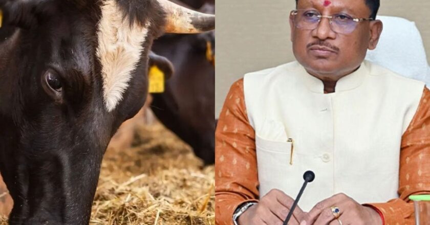 छत्तीसगढ़ में गाय को मिलेगा ‘राज्य माता’ का दर्जा, CM विष्णुदेव का ऐलान