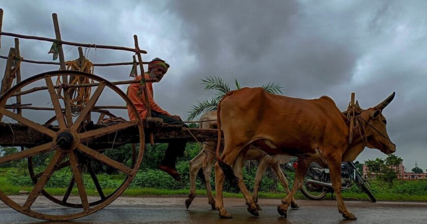 छत्तीसगढ़ में बारिश के बीच मनेगी दीपावली, मंगलवार तक इन जिलों के लिए येलो अलर्ट जारी