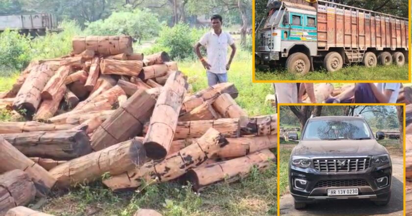 रायगढ़ में अवैध लकड़ी तस्करी पर बड़ी कार्रवाई : ट्रक और स्कॉर्पियो समेत 45 लाख का माल जब्त