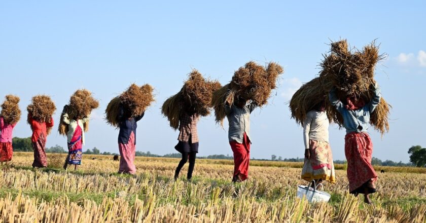 छत्तीसगढ़ में सर्किल रेट की दरों में बदलाव, किसानों को मिलेगा 3 गुना ज्यादा मुआवजा