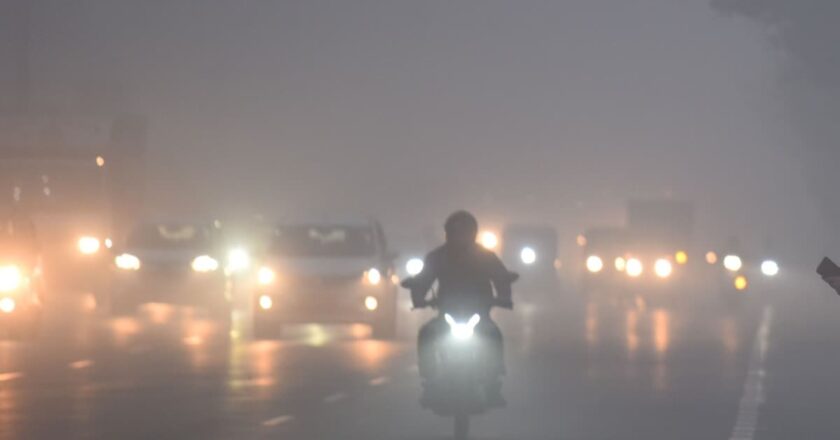 छत्तीसगढ़ में जम गईं ओस की बूंदें; 5 डिग्री तक गिरा तापमान, कहां शीतलहर का अलर्ट?