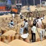 किसानों को मिली बड़ी राहत, मांग के अनुरूप जिले के 53, 9 और 31 उपार्जन केन्द्रों में दैनिक खरीदी की लिमिट बढ़ाई गई