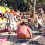 सगाई समारोह में जा रही बस पलटी, 7 की मौत