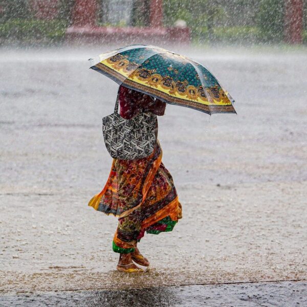 बंगाल की खाड़ी में बने सिस्टम की वजह से छत्तीसगढ़ में करवट बदल रहा मौसम, लगातार दो दिन बारिश का अलर्ट