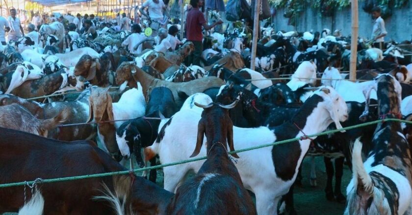 बकरीद पर खुले में कुर्बानी न दें, सोशल मीडिया को लेकर मुस्लिमों से खास अपील; जानें क्या?