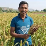 सफलता की कहानी : मिलेट्स से बढ़ी आय, किसानों के जीवन में आई खुशहाली