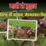 छत्तीसगढ़ के CM साय का ठेठ किसानी अंदाज; हाथ में हल की मूठ, बैलों से खेत की जुताई
